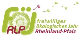 Logo FöJ